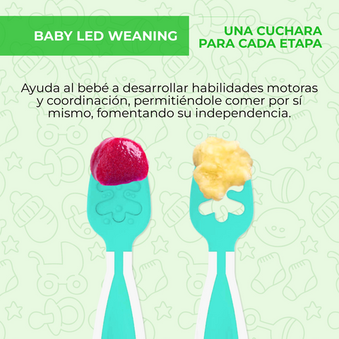 Cuchara bebe aprendizaje Verde, Blw bebés, Baby led weaning | Sensbaby